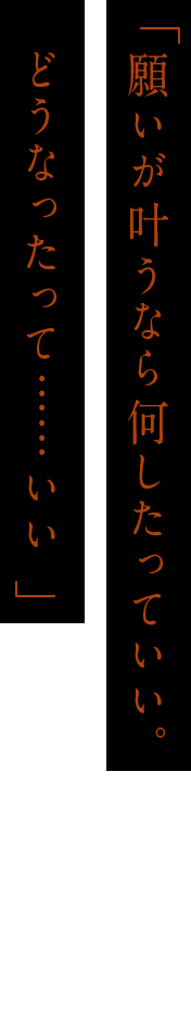 「願いが叶うなら何したっていい。どうなったって……いい 」