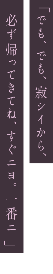 「ヨうこそ、素敵な悪夢（ゆめ）の世界へ、願イ事を、叶えてあげる」